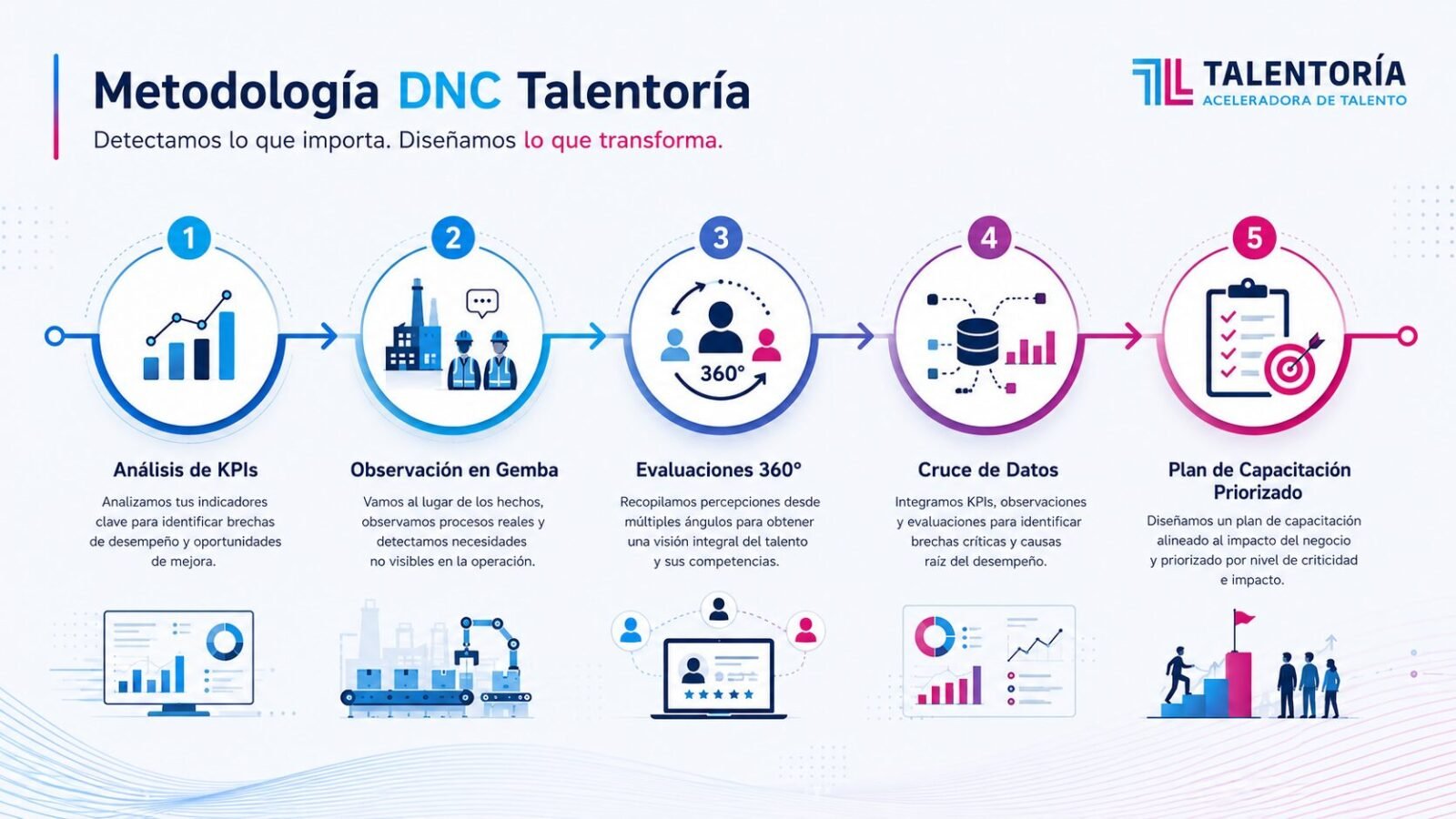 Infografía de la metodología DNC de Talentoría